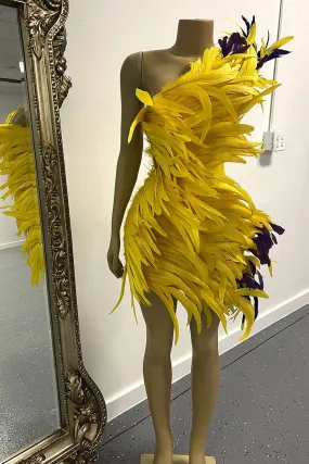 Bella Feather Dress