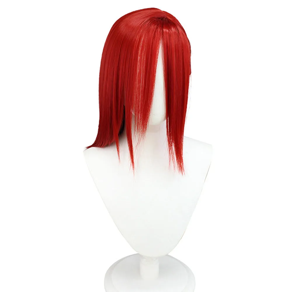 BLUE LOCK Bachira Meguru Rensuke Kunigami Yoichi Isagi Hyoma Chigiri Cosplay Wig Heat Resistant Synthetic Hair Carnival Hallowee