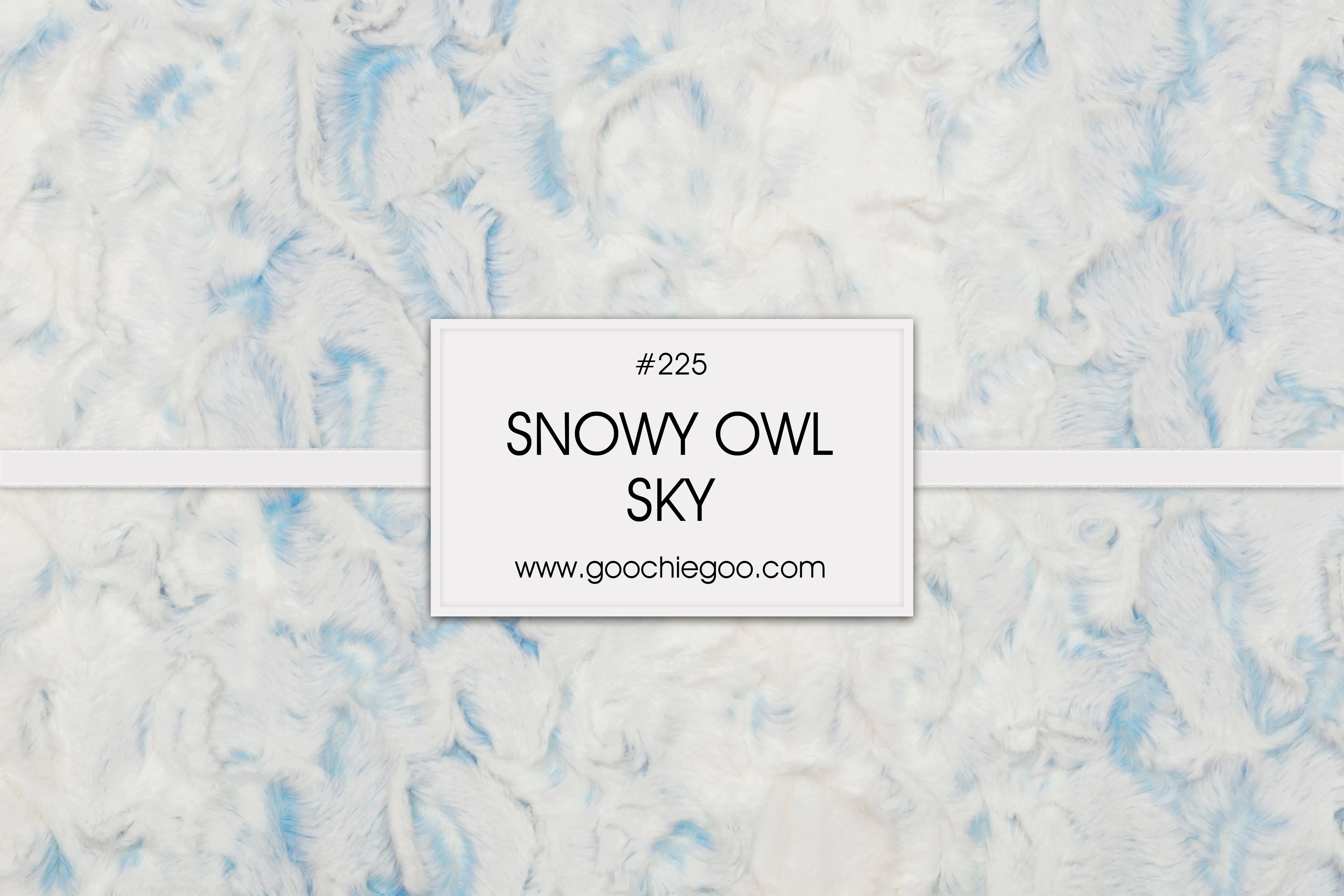 Snowy Owl / Sky Blue