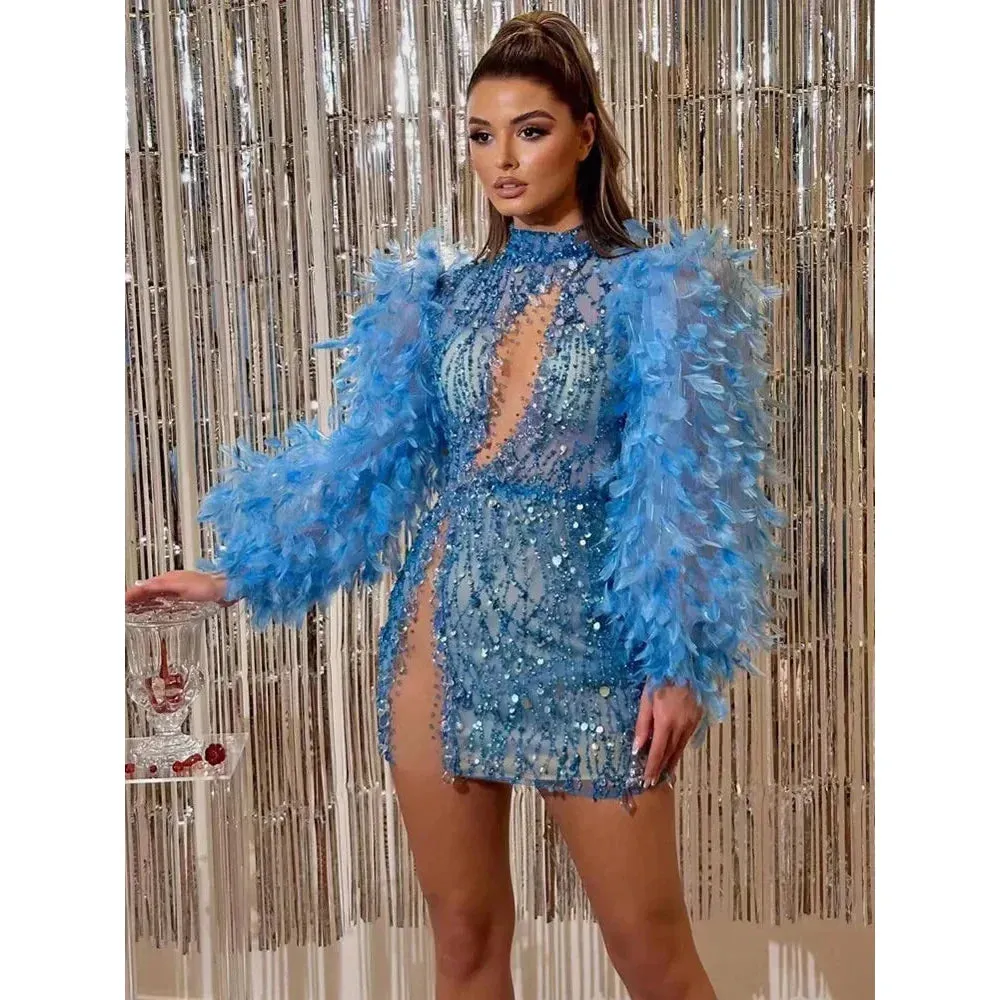 Women's Sexy Mesh Sequins Feathers Decor Long Sleeve Mini Dress