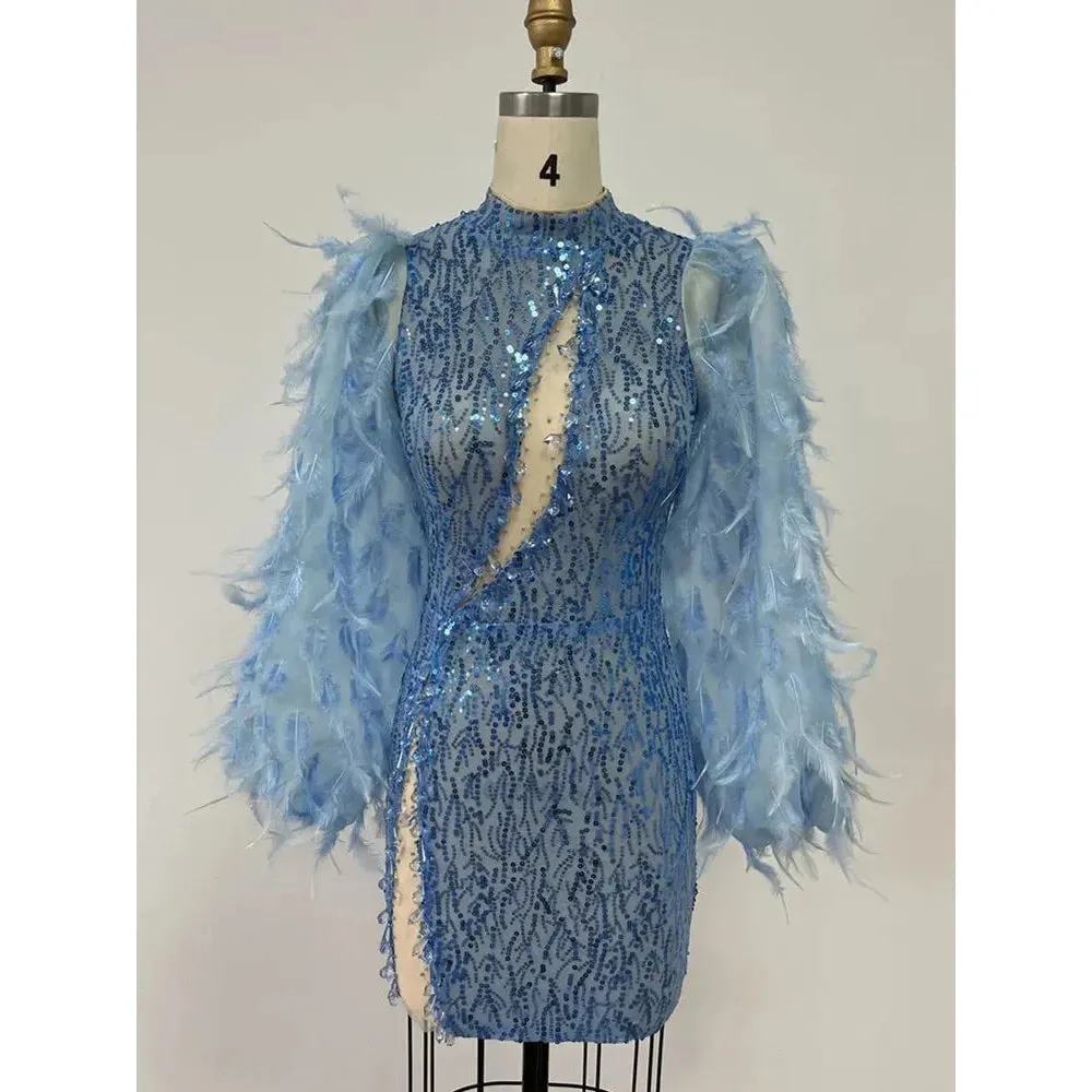 Women's Sexy Mesh Sequins Feathers Decor Long Sleeve Mini Dress